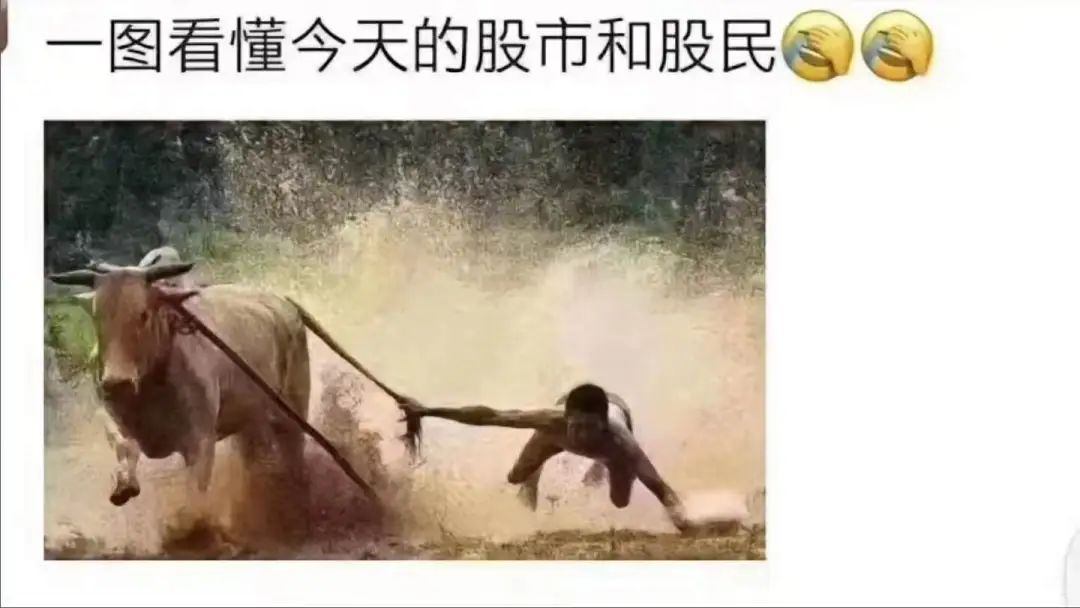 活久見！上交所被股民干崩了，軟件商表示不背鍋